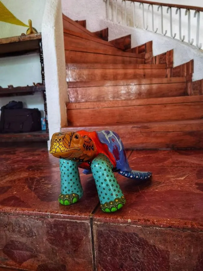 Guest house Room In House - Una Joya Para Dormir En Chapalita Zapopan